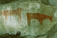 rock art tour in South Africa