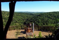 Game reserve tour & Rock Art Tour
